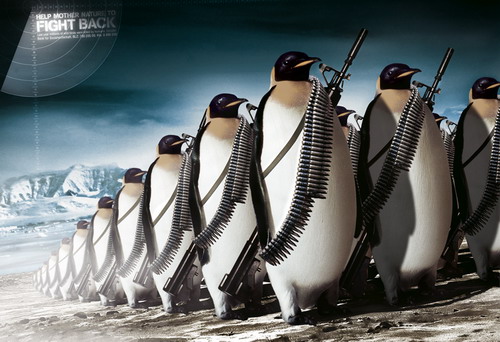 Penguins Fighting