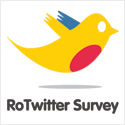 RoTwitter Survey 2009